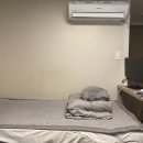 거제동백한의원 | 거제동백한의원 |(구)자향한의원 임산부 교통사고 약2주간 입원 , (2인실후기)