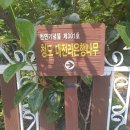 신당리 보호수