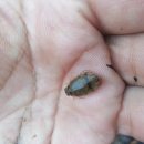 월동소류지 이미지