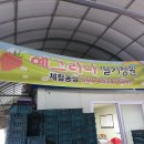 계성농장 | 부산근교 창녕 예그리나 딸기체험 다녀온 후기와 딸기효능, 과다복용시