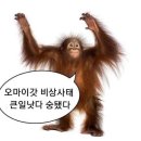 말자갤러리 이미지