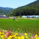 솔바우마을 이미지