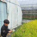 은진2농장 이미지