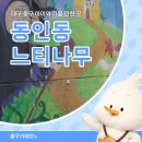 동인느티나무도서관 | 대구 중구 아이와 가볼 만한 곳 동인동 느티나무도서관