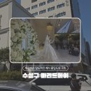 대구 마리드메이 결혼식사회자 후기: 구) 오월의신부