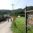 제7회 하동북천코스모스메밀꽃축제 이미지