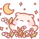 다모아 피자 이미지