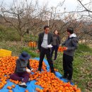 영암군청 이미지