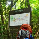 한라산둘레길 동백길 이미지