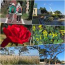 해파랑길 3코스 이미지