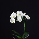 연수2동주민센터 이미지