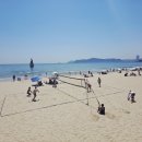 사람 | 부산 사람의 솔직한 해운대모래축제 후기｜사람 너무 많았던 주말