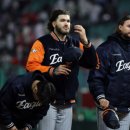 라이언 메디칼 이미지