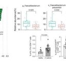 간이식 환자의 면역상태에 영향 주는 기능성 장내균총 첫 규명 이미지