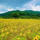 금강생태마당 이미지