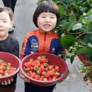 단산농장 이미지