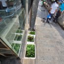 광원수족관 | 🐠남포동 광원수족관 방문기🐠