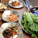 신갈매기 이미지