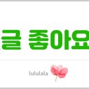 디자인매일