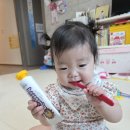 넥돌e스토어 | 돌 아기 칫솔 고민 끝 | 워킹맘 추천 유아 칫솔 스몰헤드 브리스틱 에르고 1단계 진짜 후기