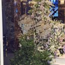 모든장식 | 노비아갈라 동촌점 웨딩 생화장식 현장기록｜시그니아홀·포레아홀 작업 후기