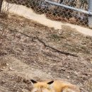 국립공원야생생물보전원 중부보전센터 이미지