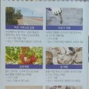 서택농장 네이버블로그