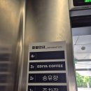 짬뽕헌터 | 경기 광주 중대동맛집 송유향 점심특선 후기