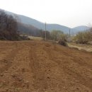 달천펜션 이미지