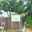 플루프 | 🐾 [플루프(floof)] 일산 애견카페 후기 | 강아지 수영장·바비큐까지 완벽한 하루 💛