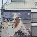 대림4길 6-1, (문화동) | 대림미술관《페트라 콜린스: fangirl》막차 탄 후기