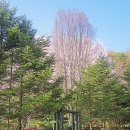 신구산업 | 신구대학교식물원(성남) &amp; 용도수목원(시흥)(2024.4.9)