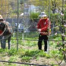 이경하농장 이미지