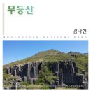 김다현 - 무등산 이미지