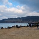 함덕어촌정주어항 이미지