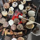 GR(태안군)-[동백로]-상-2 | 1박 2일 태안 안면도 여행 : 계획없이 막 다닌 안면도 여행