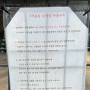 그라운독 | [그라운독] 서울 근교 남양주 애견카페 애견운동장 방문 내돈내산 솔직후기!