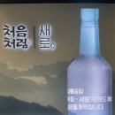 처음처럼 | [강릉 데이트 추천] 처음처럼&amp;새로 브랜드 체험관 후기