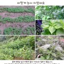 고소한 햇 들기름, 생 들기름, 기피 50% 맛보기이벤트 이미지