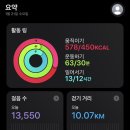 나는강아지 | 남의집강아지임보후기