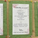 나예 티스토리