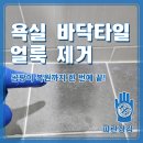 원골로 | 오래된 욕실 바닥타일 얼룩 제거, 곰팡이 복원까지 한 번에 끝
