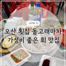 돌고래 | 오산 횟집 '돌고래마차' 내돈내산 후기｜가성비 좋은 회 맛집
