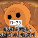D-25 이미지