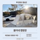 봄이네 | 강릉 캠핑장 추천 애견동반 가능한 봄이네 캠핑장 후기