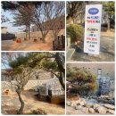 데어리프로포즈 이미지