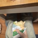 신언중학교 | 나비보벳따우