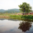 푸른수목원 이미지