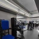 동네헬스장 - 2424 | 이 동네 헬스장 다 가본 사람이 쓰는 진짜 후기