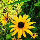 광주희망병원 이미지